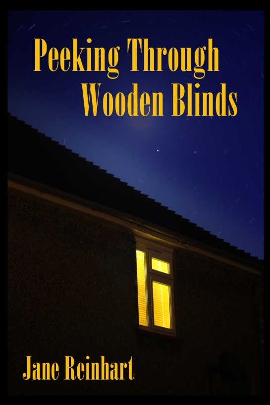 Jane Reinhart - Peeking Through Wooden Blinds - Proposed1